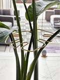 Plant Support Stake